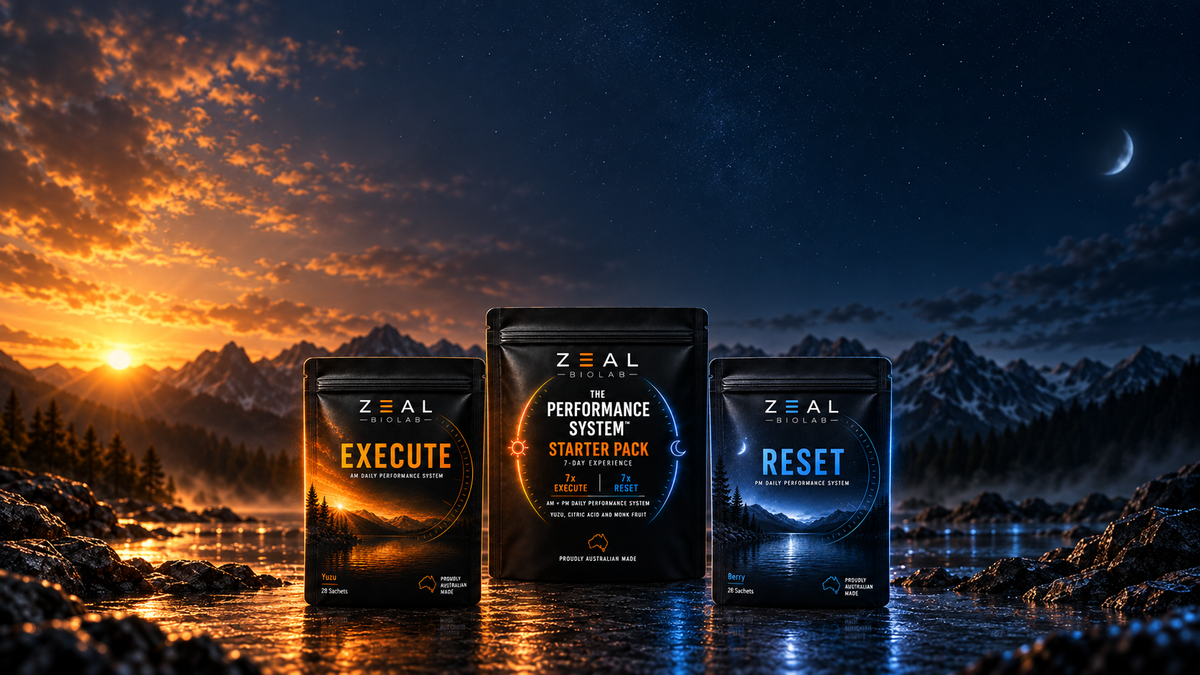 The Performance System — Execute and Reset system
